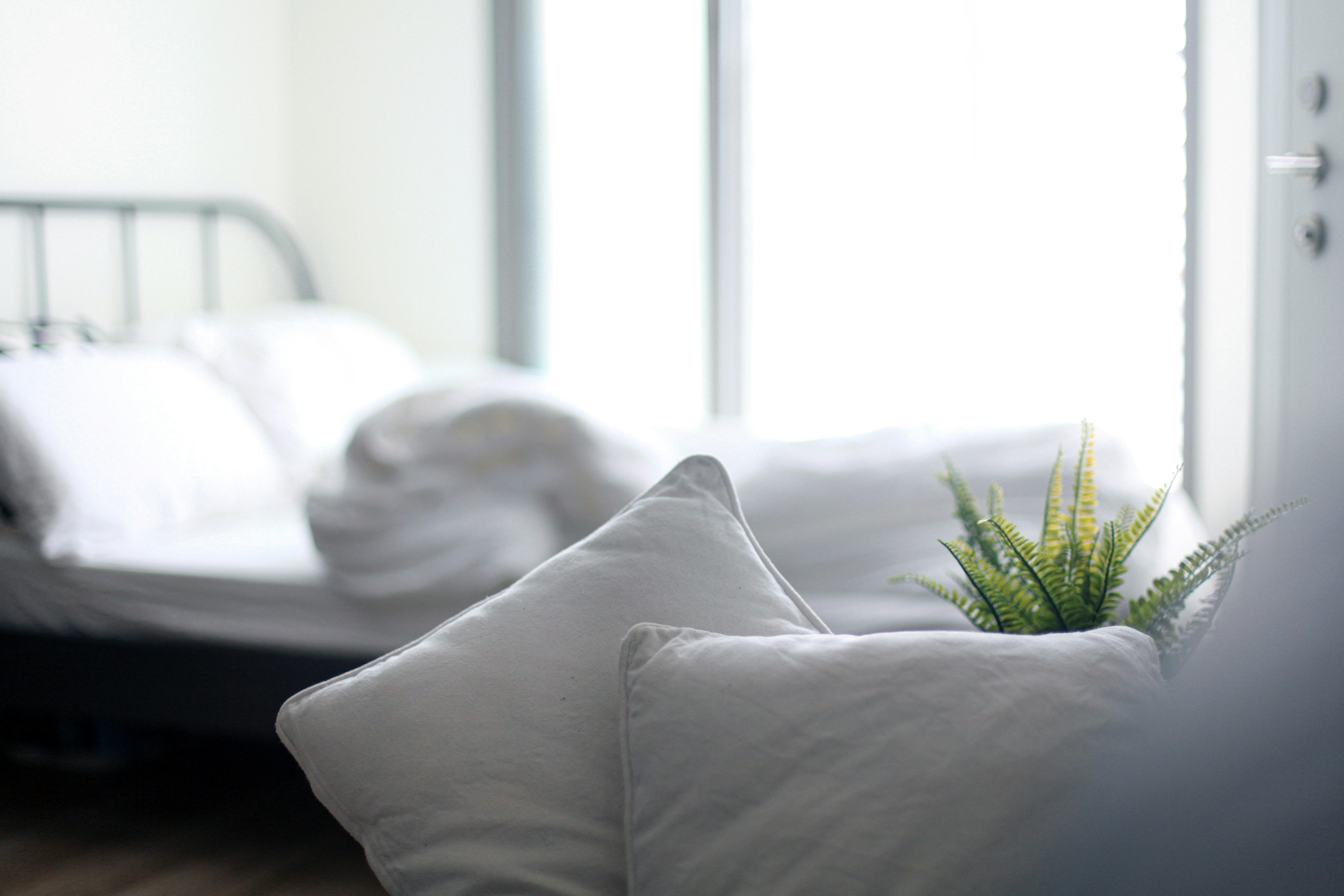 Best Pillows for Every Sleep Style: A Complete Review